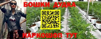 шишки Бузулук