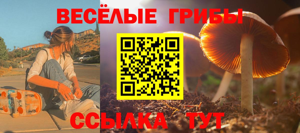 хочу наркоту  Галлюциногенные грибы мицелий  Вход с VPN  Сергиев Посад 